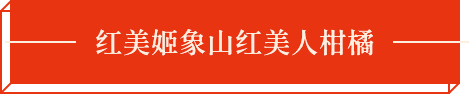 濟(jì)寧琴聲苑樂(lè)器有限公司